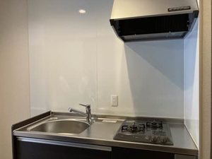 ＳｈａＭａｉｓｏｎ　ＳＯＬＵＴＩＯＮＳ　Ⅷ 0205号-4