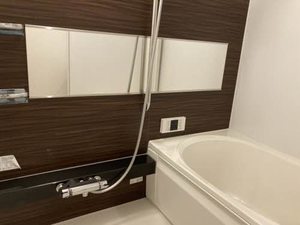 ＳｈａＭａｉｓｏｎ　ＳＯＬＵＴＩＯＮＳ　Ⅷ 0205号-5