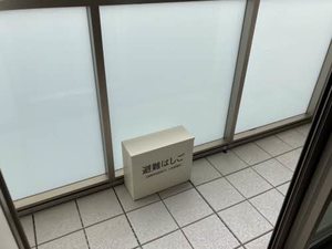 ＳｈａＭａｉｓｏｎ　ＳＯＬＵＴＩＯＮＳ　Ⅷ 0205号-11