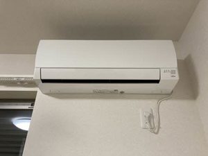 ＳｈａＭａｉｓｏｎ　ＳＯＬＵＴＩＯＮＳ　Ⅷ 0205号-14