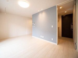 ＳｈａＭａｉｓｏｎ　ＳＯＬＵＴＩＯＮＳ　Ⅷ 0209号-3