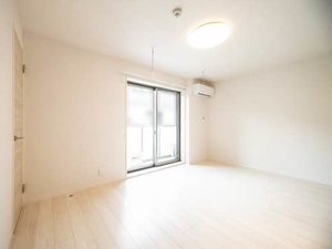 ＳｈａＭａｉｓｏｎ　ＳＯＬＵＴＩＯＮＳ　Ⅷ 0307号-2