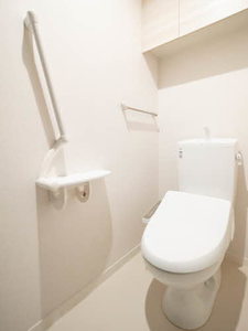 ＳｈａＭａｉｓｏｎ　ＳＯＬＵＴＩＯＮＳ　Ⅷ 0307号-6