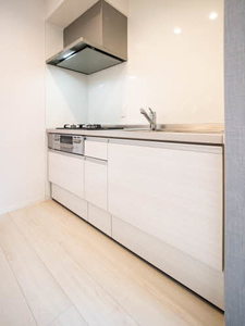 ＳｈａＭａｉｓｏｎ　ＳＯＬＵＴＩＯＮＳ　Ⅷ 0307号-9