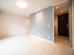 ＳｈａＭａｉｓｏｎ　ＳＯＬＵＴＩＯＮＳ　Ⅷ 0307号-11