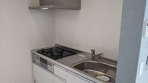 ＳｈａＭａｉｓｏｎ　ＳＯＬＵＴＩＯＮＳ　Ⅷ 0308号-4