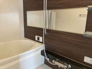 ＳｈａＭａｉｓｏｎ　ＳＯＬＵＴＩＯＮＳ　Ⅷ 0309号-4