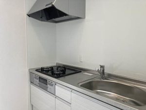 ＳｈａＭａｉｓｏｎ　ＳＯＬＵＴＩＯＮＳ　Ⅷ 0309号-7