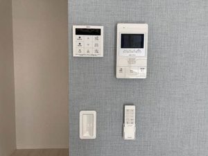 ＳｈａＭａｉｓｏｎ　ＳＯＬＵＴＩＯＮＳ　Ⅷ 0309号-8