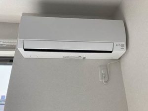 ＳｈａＭａｉｓｏｎ　ＳＯＬＵＴＩＯＮＳ　Ⅷ 0309号-9