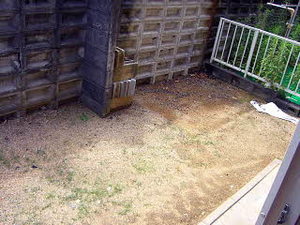 サンライフ南町 0101号-5