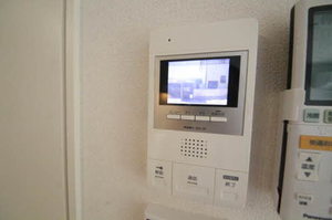 ケンタッキーブルーグラス 0103号-11
