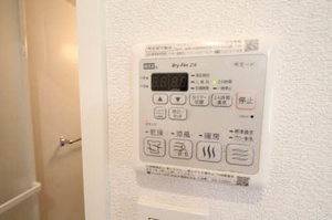 ケンタッキーブルーグラス 0103号-12