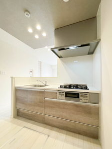 ルミソル 0101号-3