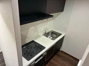 ルヴニールⅡ 0102号-2