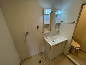 ファミール前島Ⅱ 0203号-6