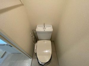 ファミール前島Ⅱ 0203号-9