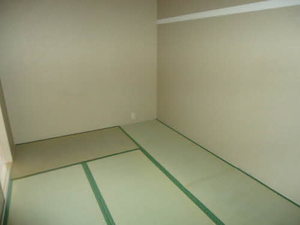 エスコートグリーン B202号-7