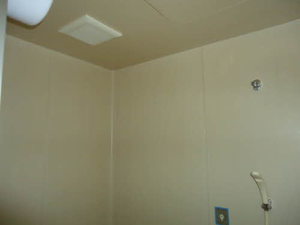 エスコートグリーン B202号-10