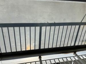 メゾンふたかみ 0205号-11