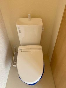 ＣＯＭＥＴＯⅧ 0102号-11