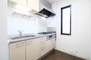 池田ハイツ 0101号-4