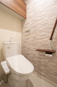 ＬＵＭＩＥＲＥ　ＩＲＩＳＥ 0105号-5