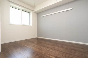 ＬＵＭＩＥＲＥ　ＩＲＩＳＥ 0105号-10