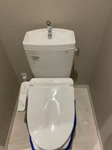 Ｇｒａｃｅ 0102号-5