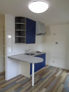 イチヨシマンション 0305号-2