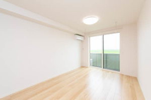 プレジールⅡ 0206号-2