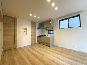 Ｓｈａ　Ｍａｉｓｏｎ　Ｊｏｙ 0101号-2