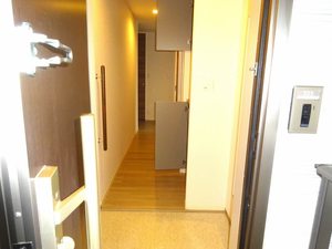 プレミアス大津京 0305号-8