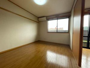 メゾン・リバーⅡ 0102号-11