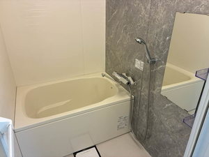 フレグランス高松 0203号-9