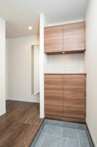 ＳｈａＭａｉｓｏｎ　ｖｉｏｌａ 0101号-6