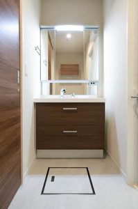 ＳｈａＭａｉｓｏｎ　ｖｉｏｌａ 0101号-9