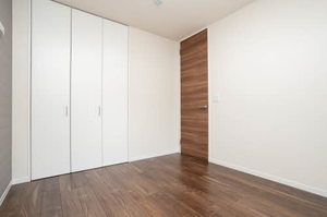 ＳｈａＭａｉｓｏｎ　ｖｉｏｌａ 0101号-11