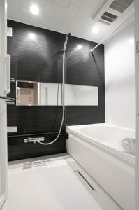 ｋａｐｏｌｅｉｉ 0103号-4