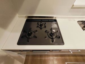 モンテリザイア御駕籠 0102号-9