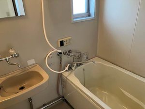 エステート・シバタ 0205号-5