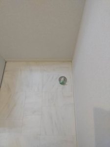 シャーメゾン岩喜 0202号-11