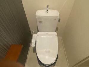 Ｍａｉｓｏｎ　Ｇｒａｎｄ　Ｓｏｌｅｉｌ 0302号-12