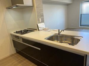 Ｍａｉｓｏｎ　Ｇｒａｎｄ　Ｓｏｌｅｉｌ 0207号-9
