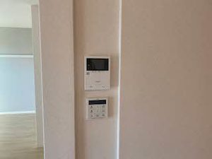 カーサ エクラシエ 0201号-9