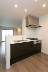 カーサ　エクラシエ 0302号-9