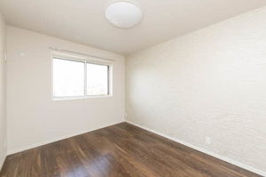 シャーメゾンＦＵＪＩＭＯＴＯ 0201号-9