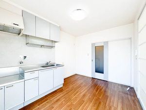 ディアス大澤 0205号-2