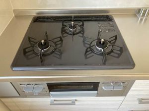 ヒルズ青山 0203号-11