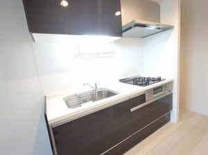 ラヴィベール国玉 0301号-4